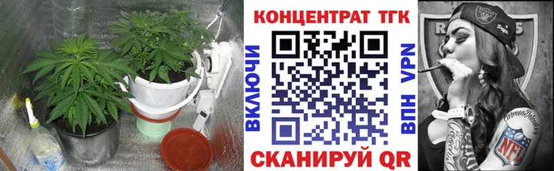 как найти закладки  Новокузнецк  ТГК жижа 