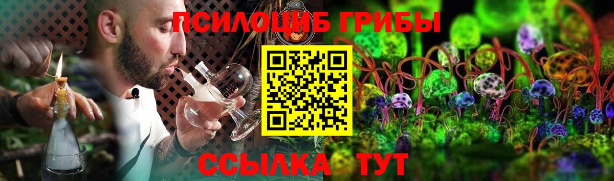 Галлюциногенные грибы Psilocybe  где купить   Новокузнецк 